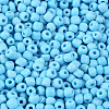 6/0 Glass Seed Beads X2-SEED-A010-4mm-43-2