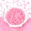 FGB Frosted Transparent Glass Seed Beads SEED-N013-03A-05-2