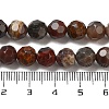 Natural Petrified Wood Beads Strands G-C150-B01-01-5