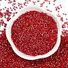 Baking Paint Silver Lined Glass Seed Beads SEED-H003-09C-3