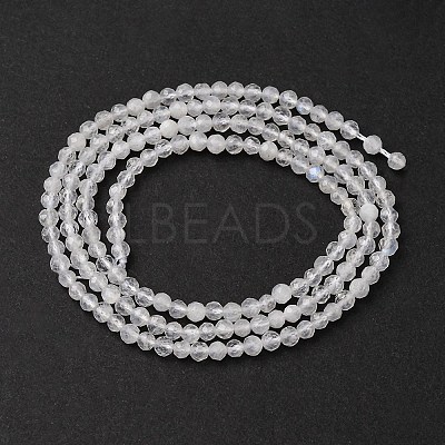 Natural Rainbow Moonstone Beads Strands G-B142-A04-2mm-1