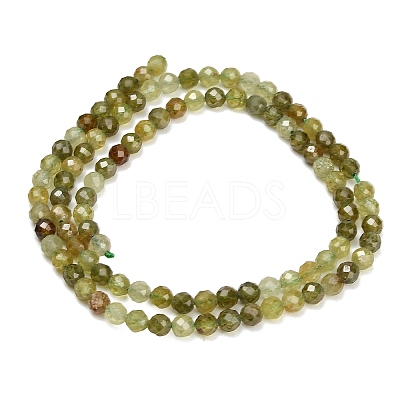 Natural Green Garnet Beads Strands GG-CBA77FB-B11-4mm-1