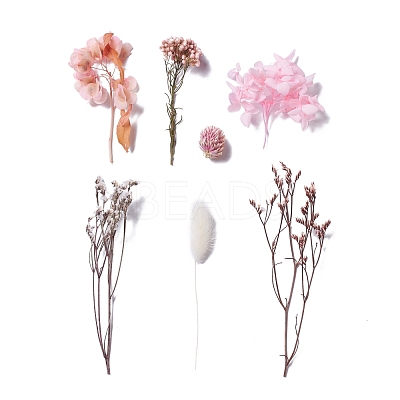 Dried Flowers DIY-D052-13-1