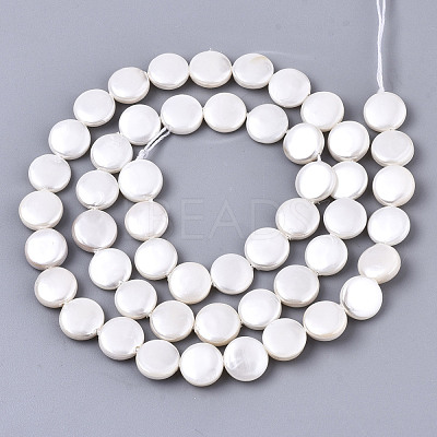 Natural Freshwater Shell Beads Strands X-SHEL-N026-50A-01-1
