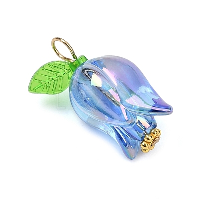 Acrylic Pendants PALLOY-JF03534-01-1
