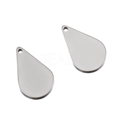 Stainless Steel Charms PW-WG31F01-02-1