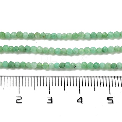 Natural Chrysoprase Beads Strands G-B088-C19-02-1