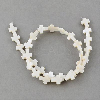 Natural Freshwater Shell Beads Strands SSHEL-Q296-34-1