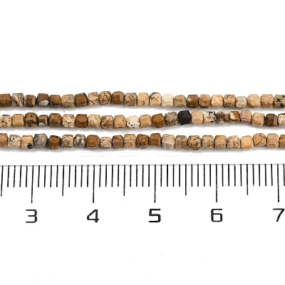 Natural Picture Jasper Beads Strands G-P457-B01-52-1