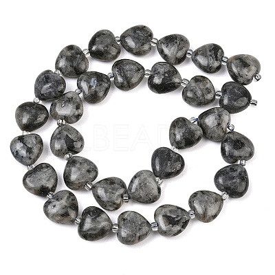 Natural Labradorite Beads Strands G-B022-32C-A-1