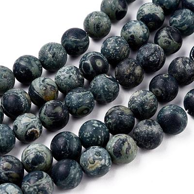 Frosted Natural Kambaba Jasper Beads Strands G-M272-14-6mm-1