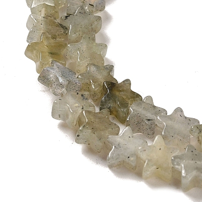 Natural Labradorite Beads Strands G-G085-B25-02-1