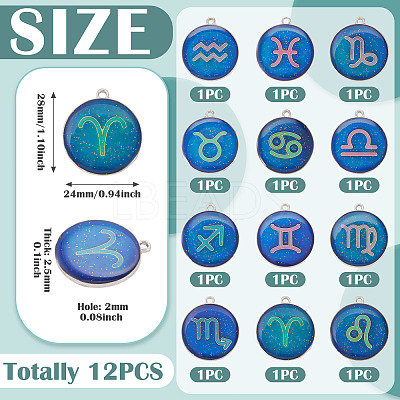 12Pcs 12 Constellations Epoxy Resin Pendants FIND-TAC0027-38-1