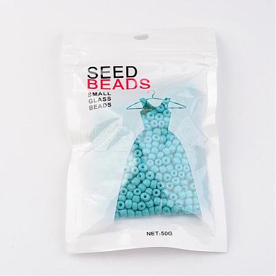 6/0 Baking Paint Glass Seed Beads X-SEED-S003-K10-1