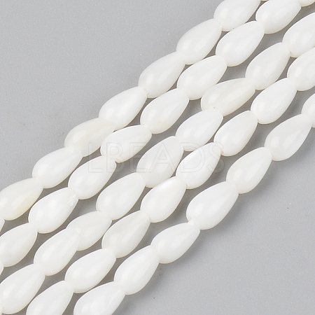 Natural Freshwater Shell Beads Strands X-SSHEL-R048-007A-1