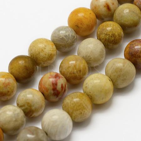 Natural Fossil Coral Beads Strands G-K194-4mm-05-1