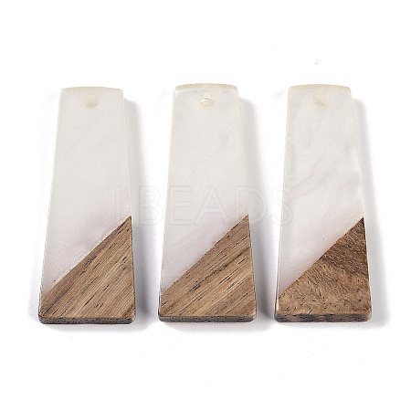 Resin & Wood Pendants WOOD-F015-04D-1