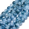 Natural Malaysia Jade Beads Strands G-L645-C01-10mm-24-1