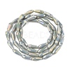 Electroplated Opaque Glass Beads Strands EGLA-L015-FR-B19-01-3