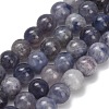 Natural Iolite Beads Strands G-G300-A04-6mm-2