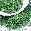 MIYUKI Delica Beads SEED-MY11-DB0163-1