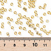 8/0 Glass Seed Beads SEED-US0003-3mm-22-3