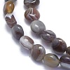 Natural Botswana Agate Beads Strands G-K310-D01-8mm-3