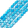 Natural Freshwater Shell Dyed Beads Strands SHEL-K001-001F-1