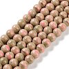 Natural Rainbow Alashan Agate Beads Strands G-NH0022-A03-01-1