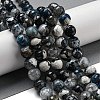 Faceted Natural Fire Crackle Agate Beads Strands G-F447-12mm-N09-1