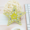 Star Glitter Hotfix Rhinestone DIY-WH0260-63G-1