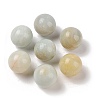 Natural Flower Amazonite No Hole Sphere Beads G-K353-04D-41-1