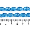 Transparent Glass Beads Strands EGLA-N013-T6mm-D17-4