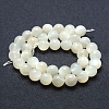 Natural White Moonstone Beads Strands G-P342-02A-10mm-A--2