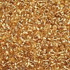 Glass Bugle Beads SEED-S032-08A-22B-3