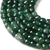Natural Fuchsite Beads Strands GG-CBAE031-B02-4