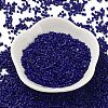 Baking Paint Glass Seed Beads X-SEED-S042-05B-78-2