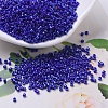 MIYUKI Delica Beads X-SEED-J020-DB0216-1