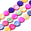 Natural Freshwater Shell Beads Strands SHEL-S278-018-1