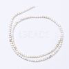 Natural Magnesite Bead Strands X-G-P286-10-3mm-2