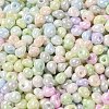 6/0 Glass Seed Beads X1-SEED-M012-01A-01-3