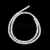 Natural Selenite Beads Strands G-K336-02-4