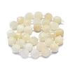 Natural White Moonstone Beads Strands G-K306-A18-10mm-2