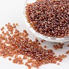 Round 6/0 Glass Seed Beads X-SEED-A006-4mm-102C-1