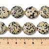 Natural Dalmatian Jasper Beads Strands G-A292-A06-01-6