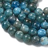 Natural Apatite Beads Strands LS-G-F816-A01-01A-4