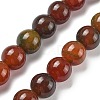 Natural Multi-Color Agate Beads Strands G-A261-B22-14mm-2