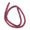 Dyed Synthetic Turquoise Beads Strands G-Z089-A04-I-4