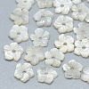 Natural White Shell Beads SSHEL-S260-003-1