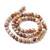 Natural Agate Beads Strands G-C238-03A-3